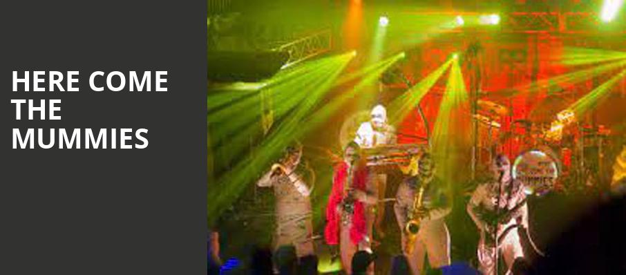 Here Come The Mummies, The Cotillion, Wichita
