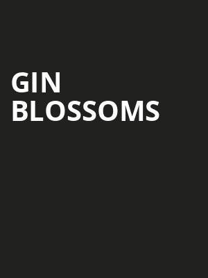 Gin Blossoms, Kansas Star Casino, Wichita